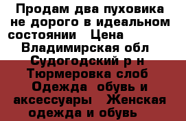 Продам два пуховика не дорого в идеальном состоянии › Цена ­ 2 000 - Владимирская обл., Судогодский р-н, Тюрмеровка слоб. Одежда, обувь и аксессуары » Женская одежда и обувь   